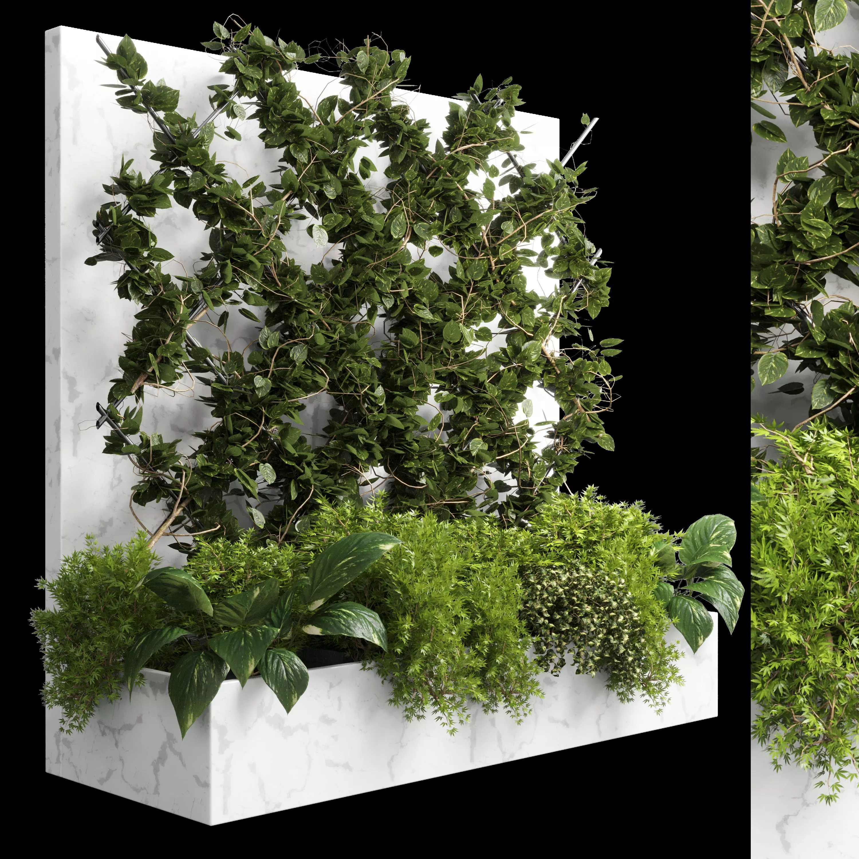 ivy parttion wall vertical garden set 02 Low-poly 3D model_0