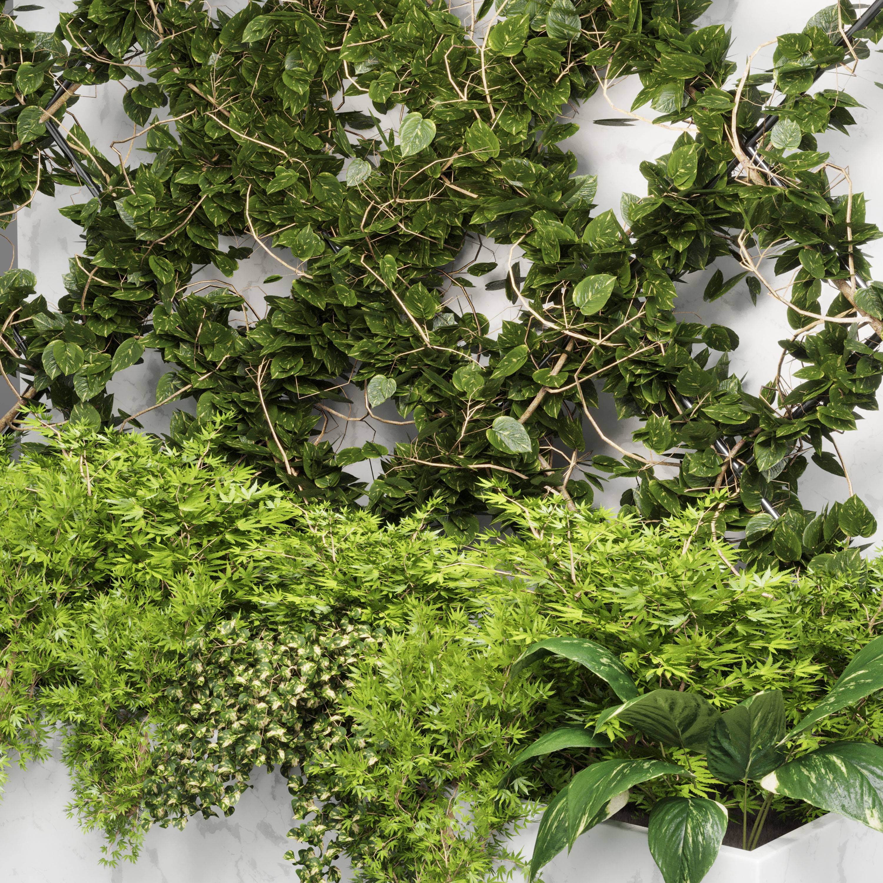 ivy parttion wall vertical garden set 02 Low-poly 3D model_1