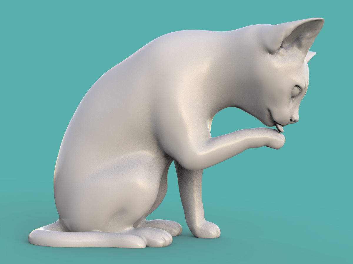 Cat - grooming 3D print model_2