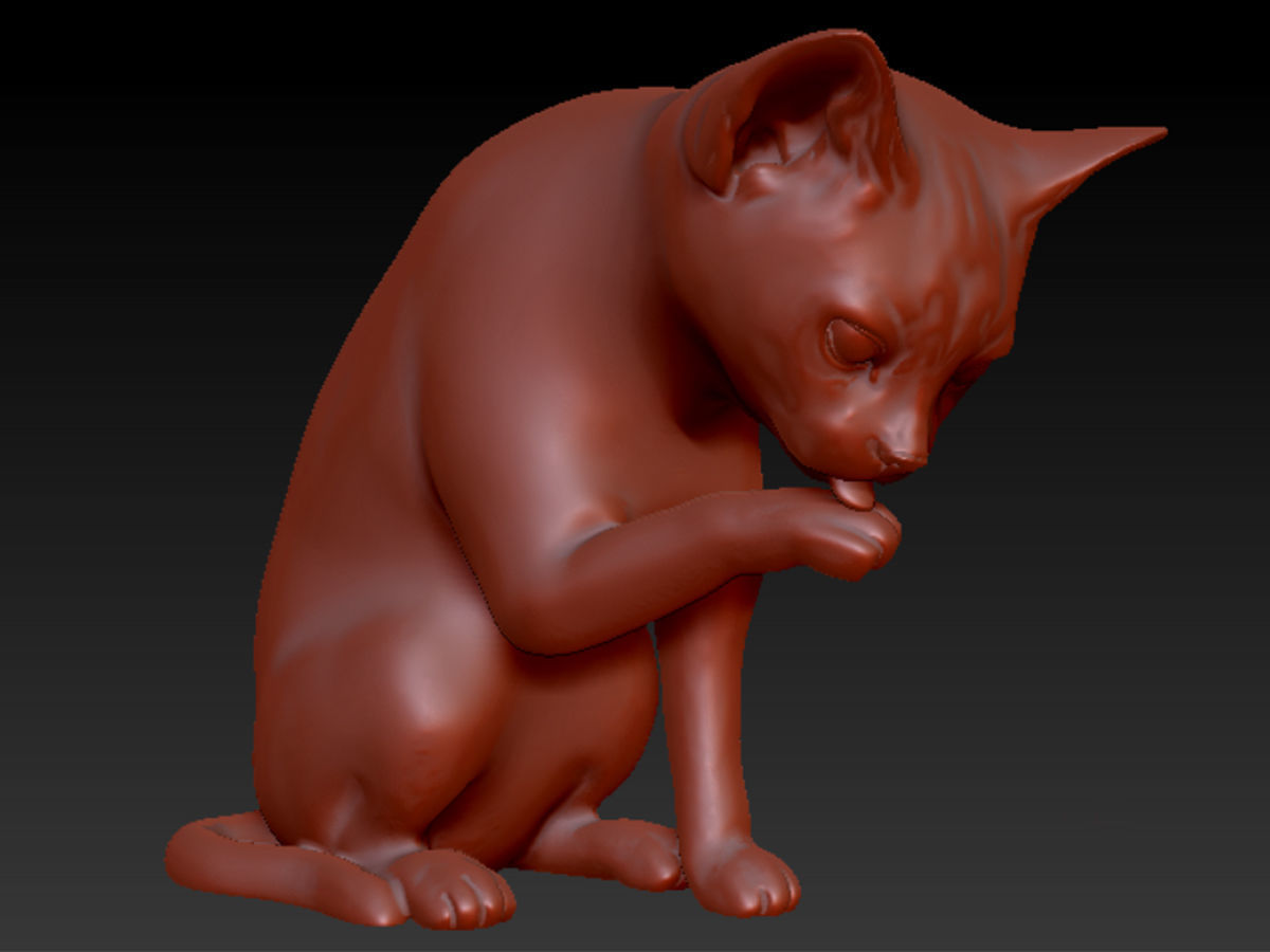 Cat - grooming 3D print model_6
