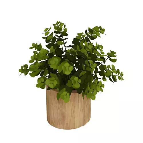 Faux Naturalist Eucalyptus Bonsai Plant  3D model