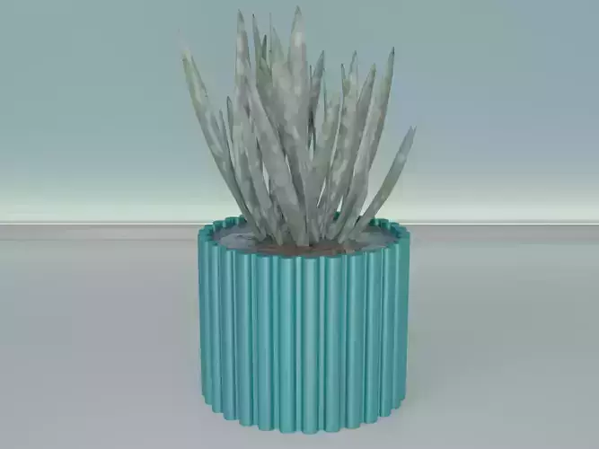 succulent plant pot 36