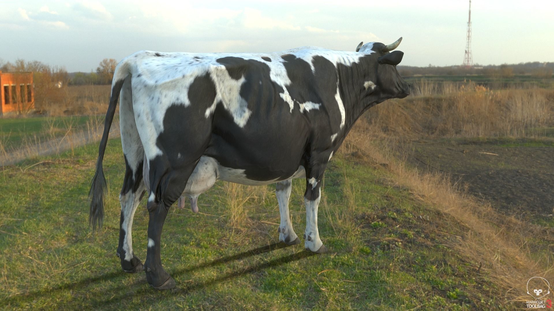 Dairy Cow PBR Low-poly 3D model_2