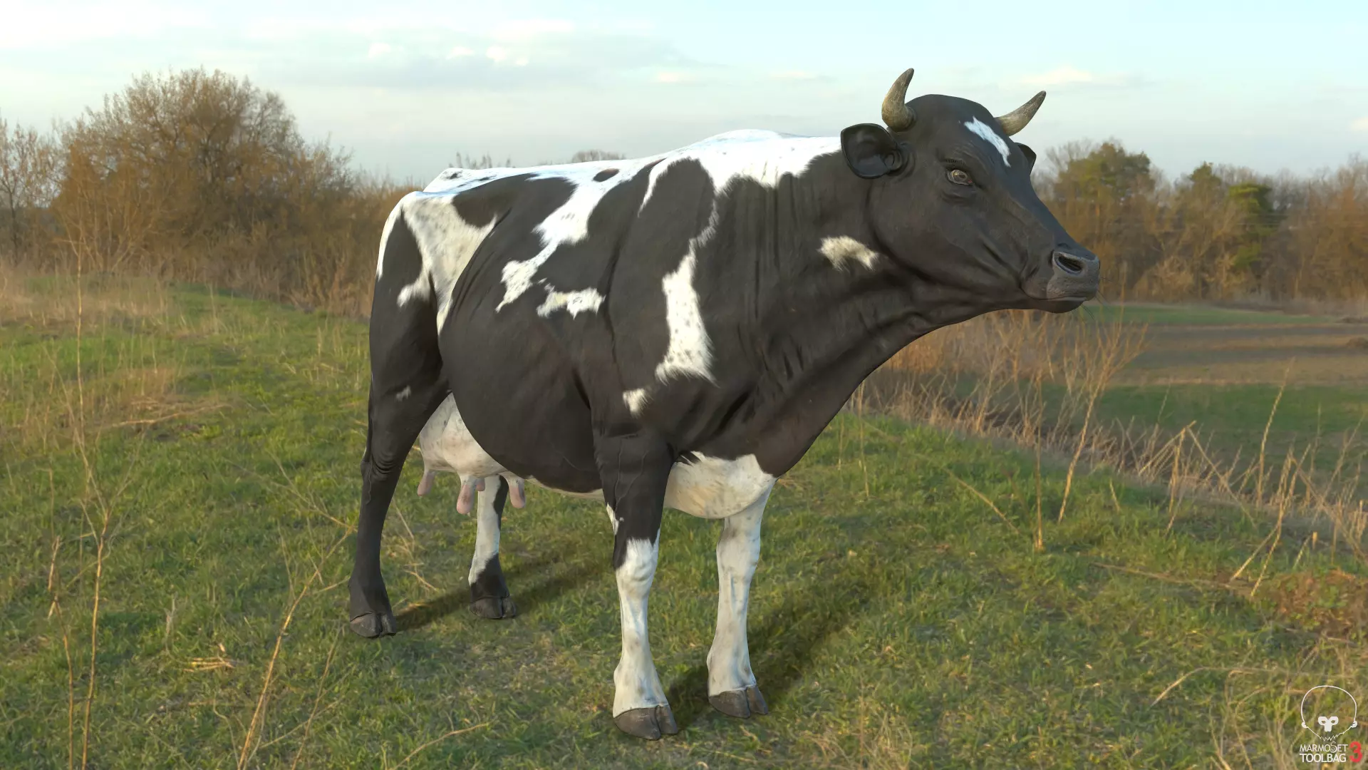 Dairy Cow PBR Low-poly 3D model_0