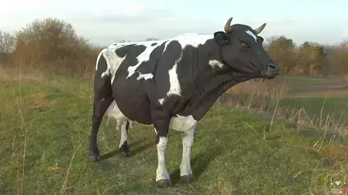 Dairy Cow PBR Low-poly 3D model