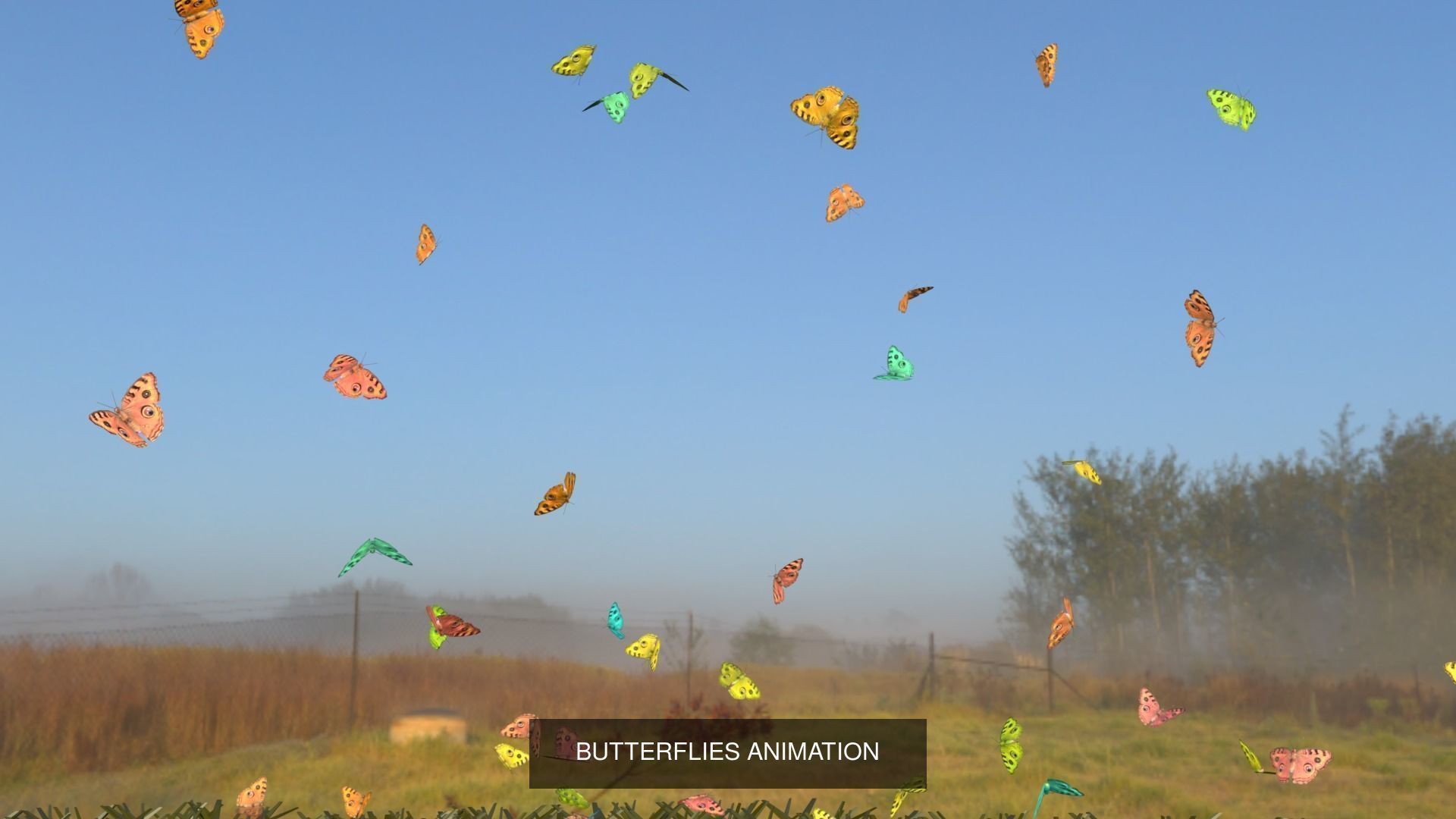butterflies animation 3D Model Collection_7