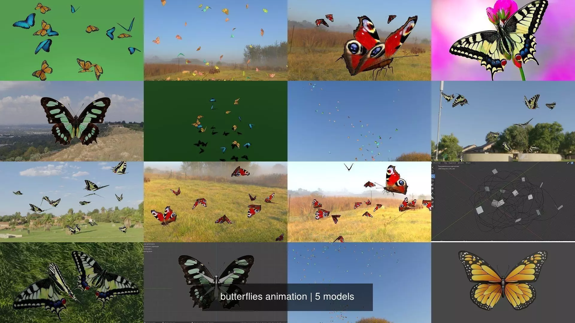 butterflies animation 3D Model Collection_0
