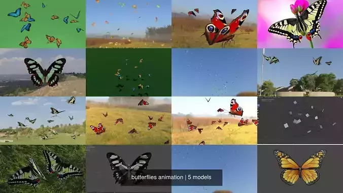 butterflies animation 3D Model Collection