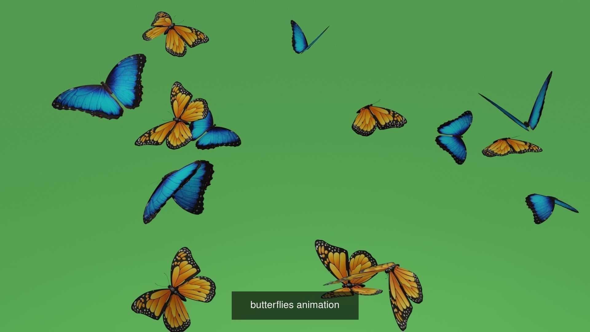 butterflies animation 3D Model Collection_6