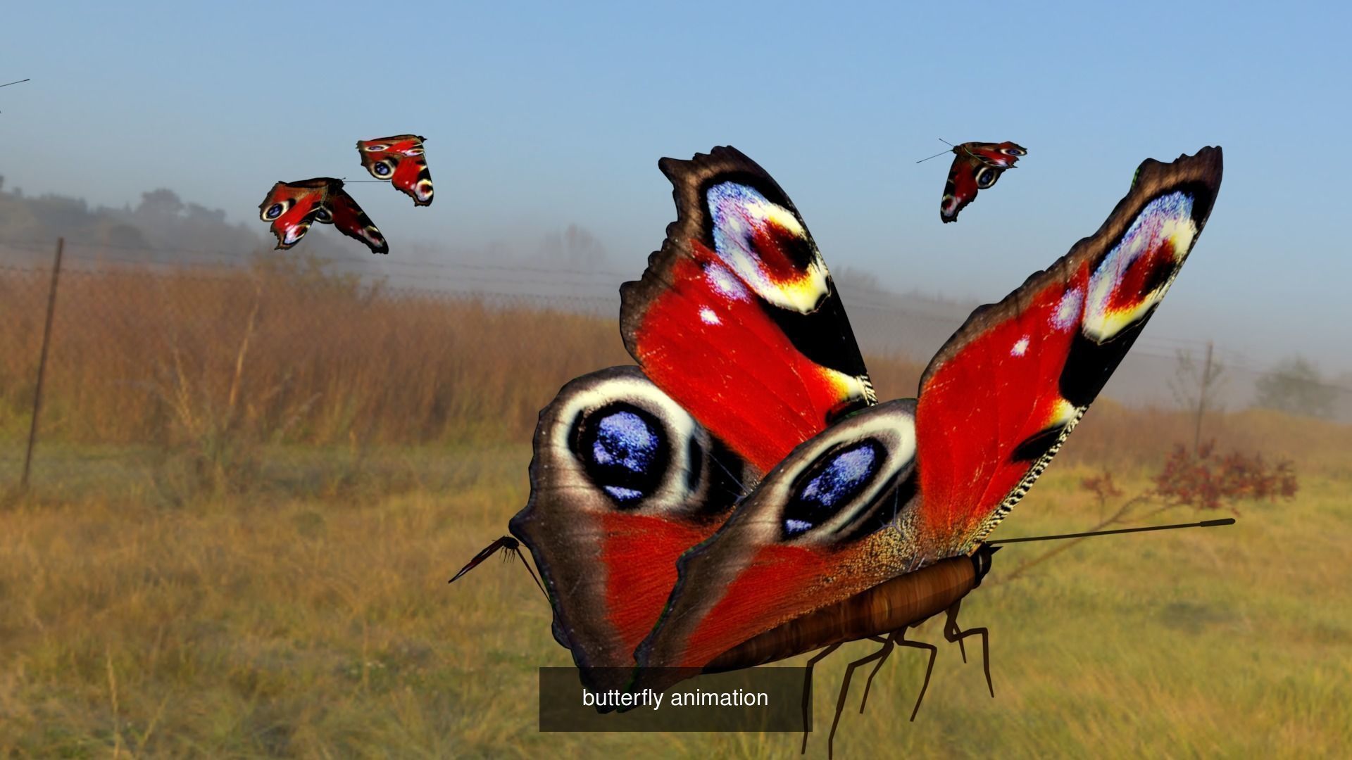 butterflies animation 3D Model Collection_8