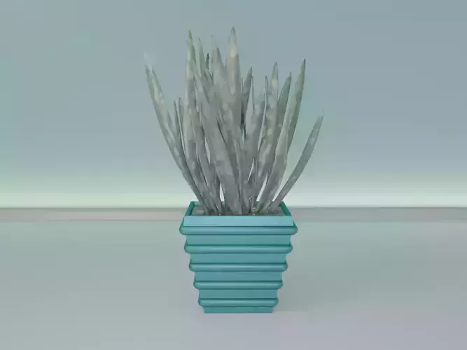 succulent plant pot 37 3D print model