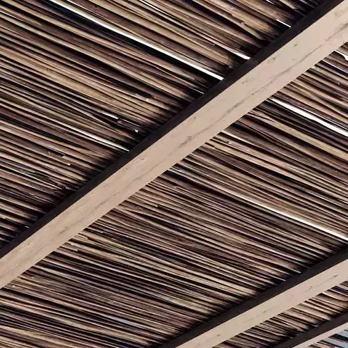 Ceiling wood sang thin branch n1