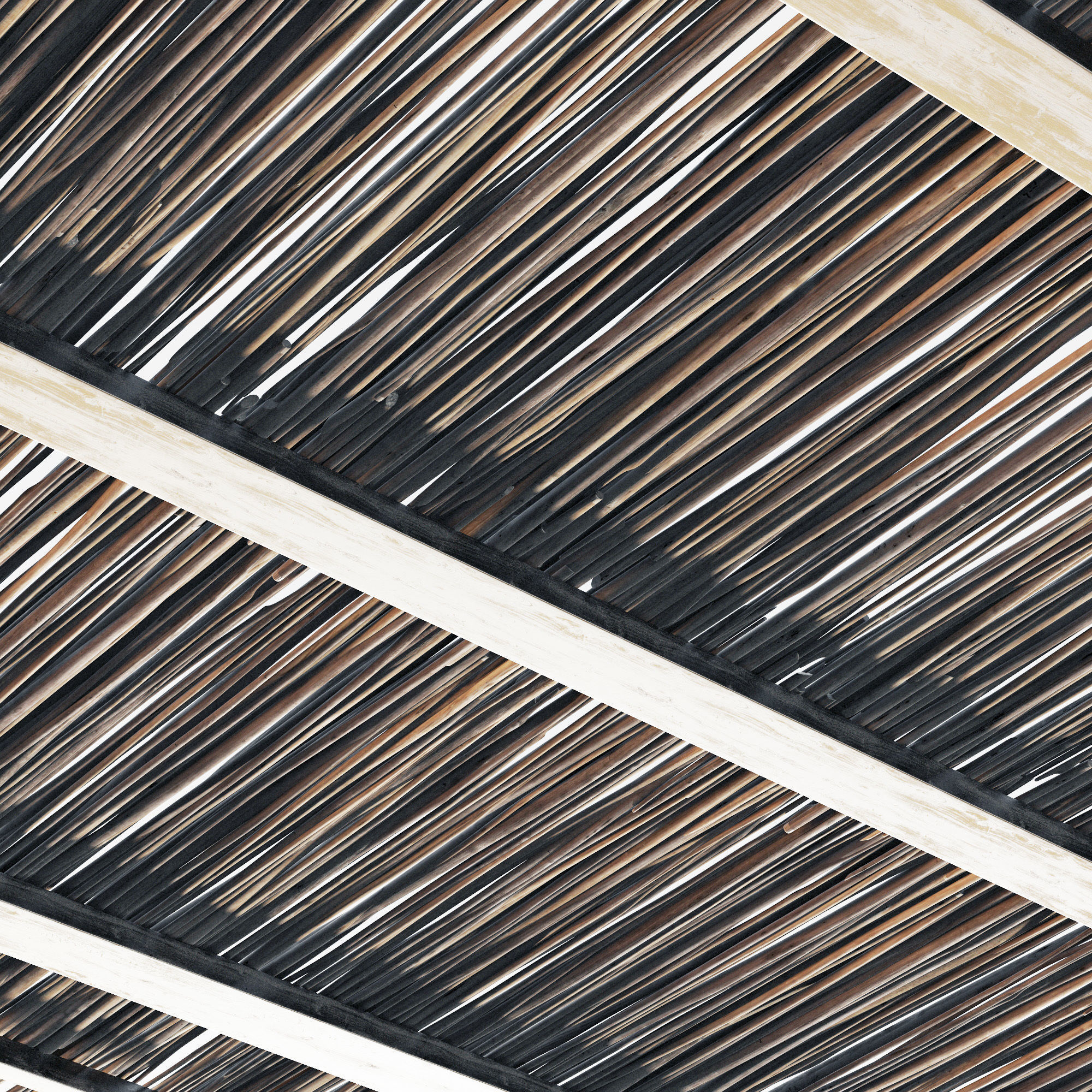 Ceiling wood sang thin branch n1 3D model_3