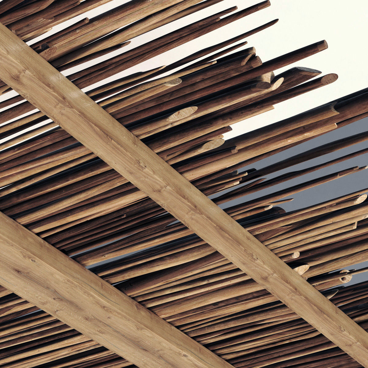 Ceiling wood sang thin branch n1 3D model_9