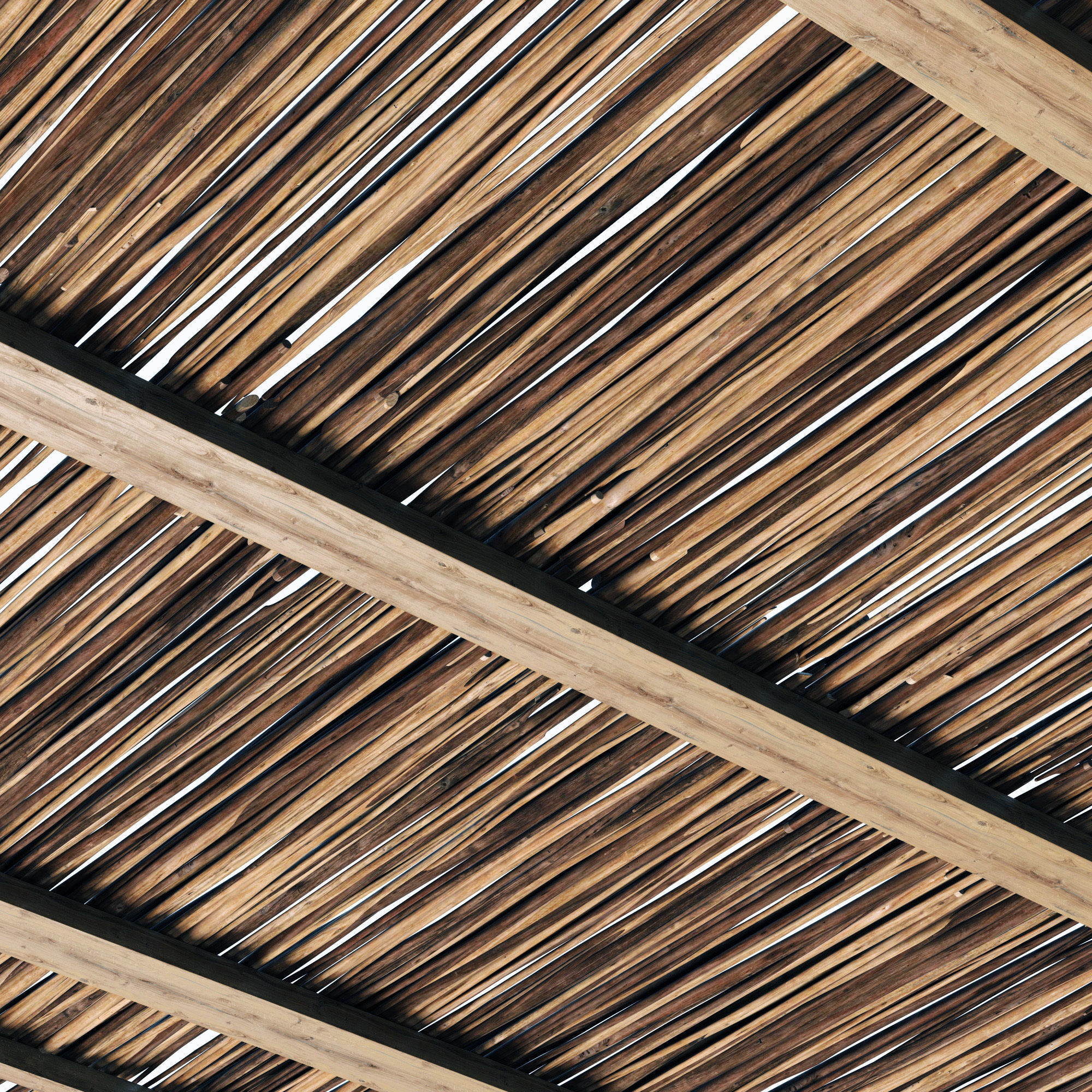 Ceiling wood sang thin branch n1 3D model_5