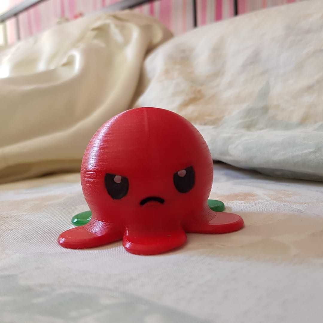 Octopus 2 sides 3D print model_2