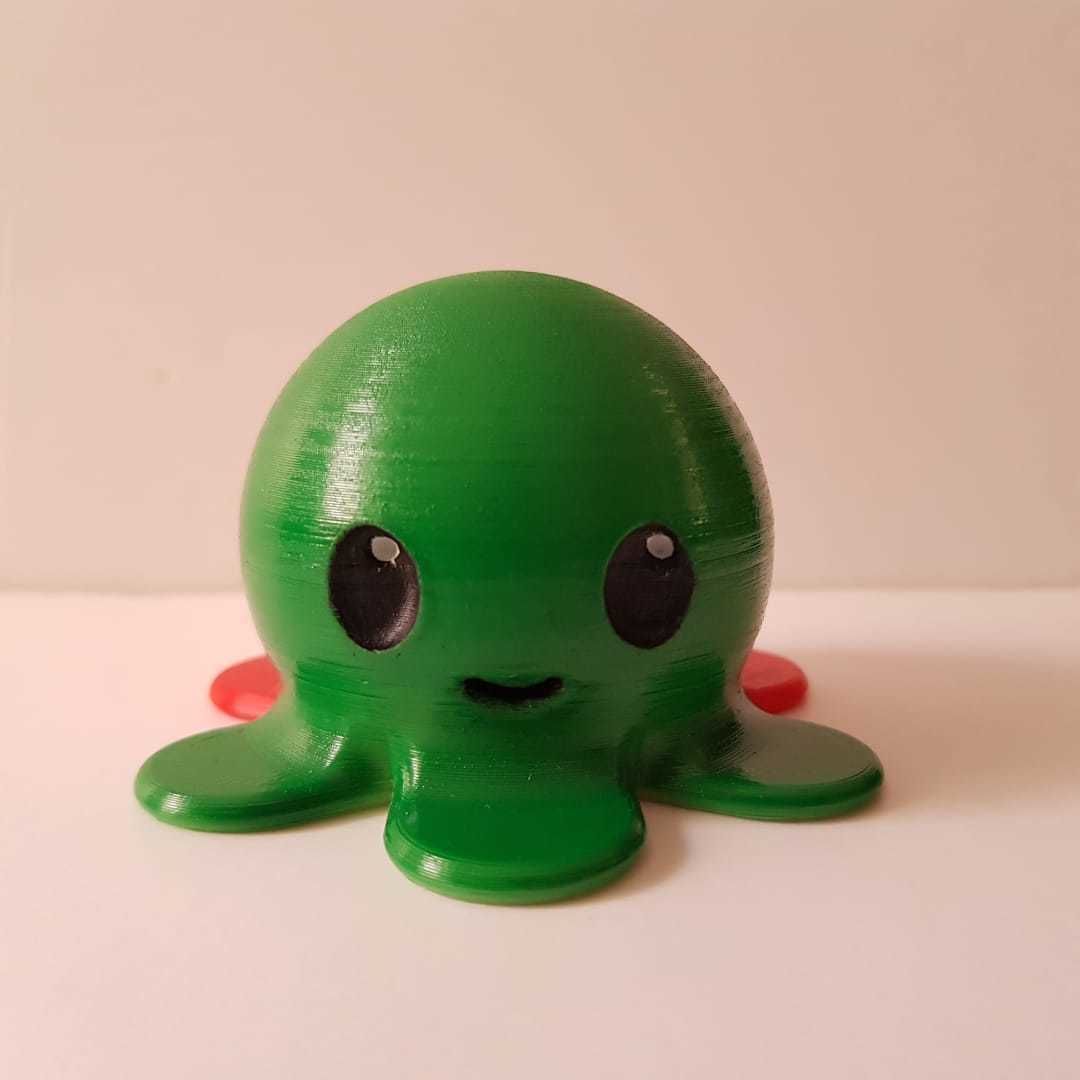 Octopus 2 sides 3D print model_3