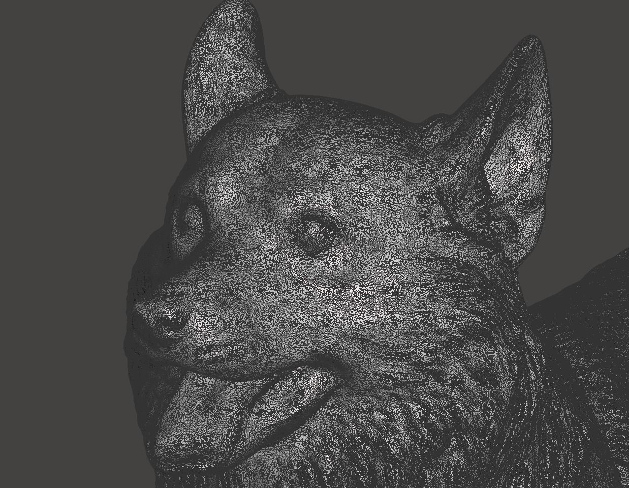 Pembroke Welsh Corgi 3D print model_9