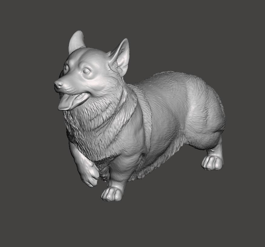 Pembroke Welsh Corgi 3D print model_8