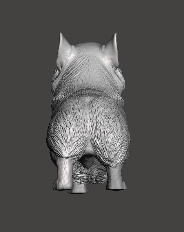 Pembroke Welsh Corgi 3D print model_3