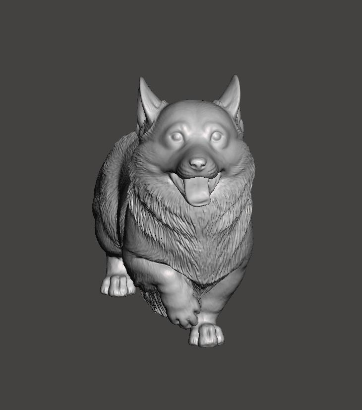 Pembroke Welsh Corgi 3D print model_7