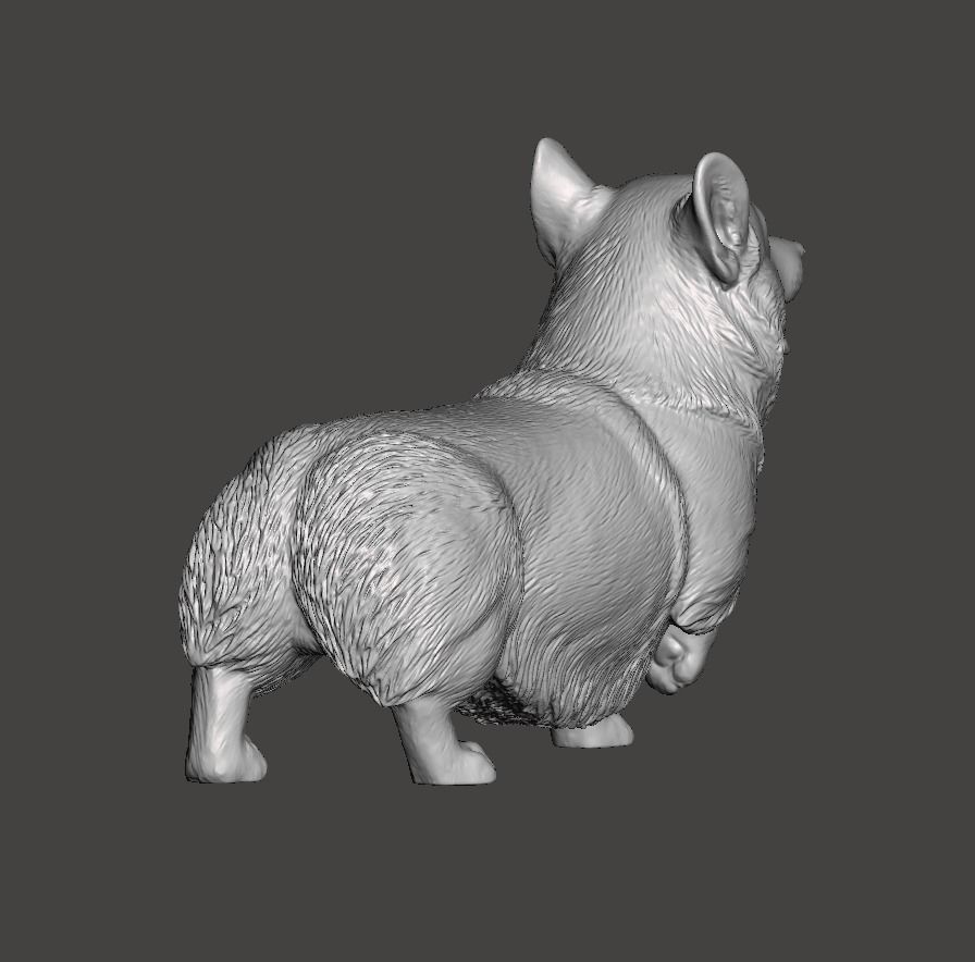 Pembroke Welsh Corgi 3D print model_4