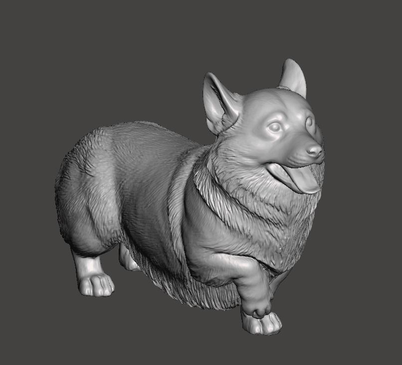 Pembroke Welsh Corgi 3D print model_6