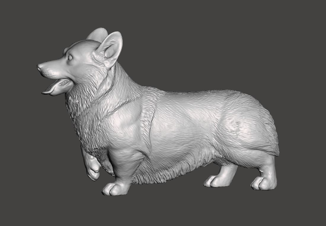 Pembroke Welsh Corgi 3D print model_1