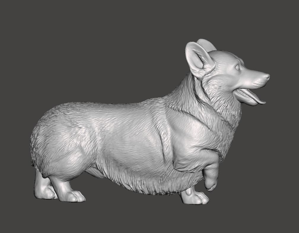 Pembroke Welsh Corgi 3D print model_5