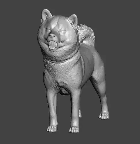 Shiba Inu Dog - Smiling 3D print model