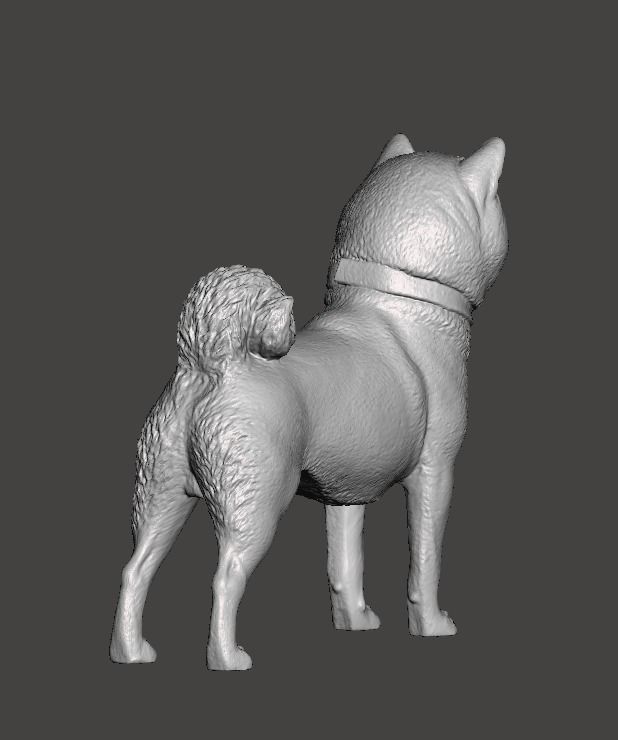 Shiba Inu Dog 3D print model_4