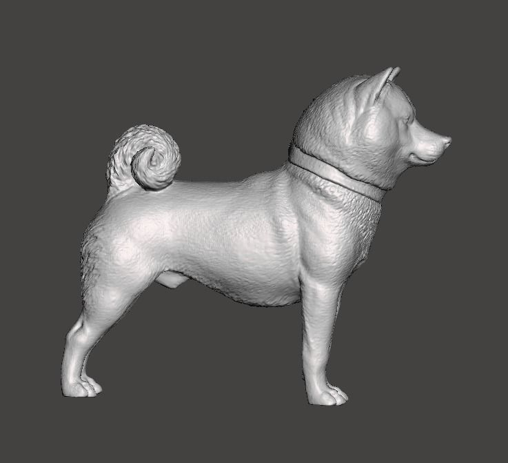 Shiba Inu Dog 3D print model_5