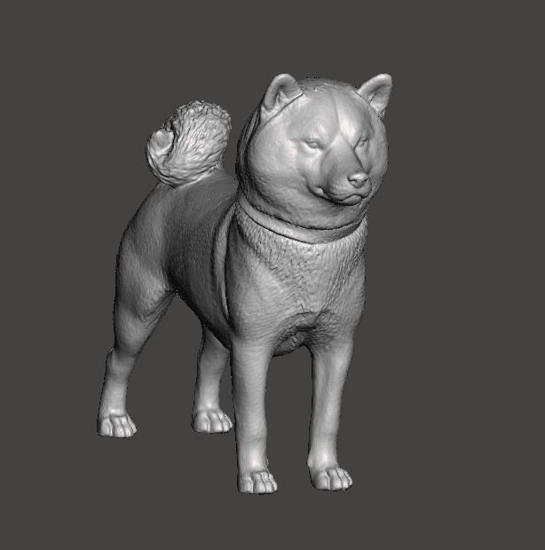 Shiba Inu Dog 3D print model_6