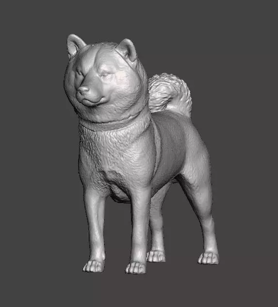 Shiba Inu Dog 3D print model_0
