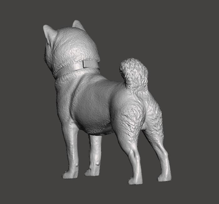 Shiba Inu Dog 3D print model_3