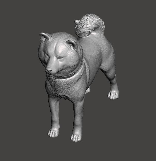 Shiba Inu Dog 3D print model_7