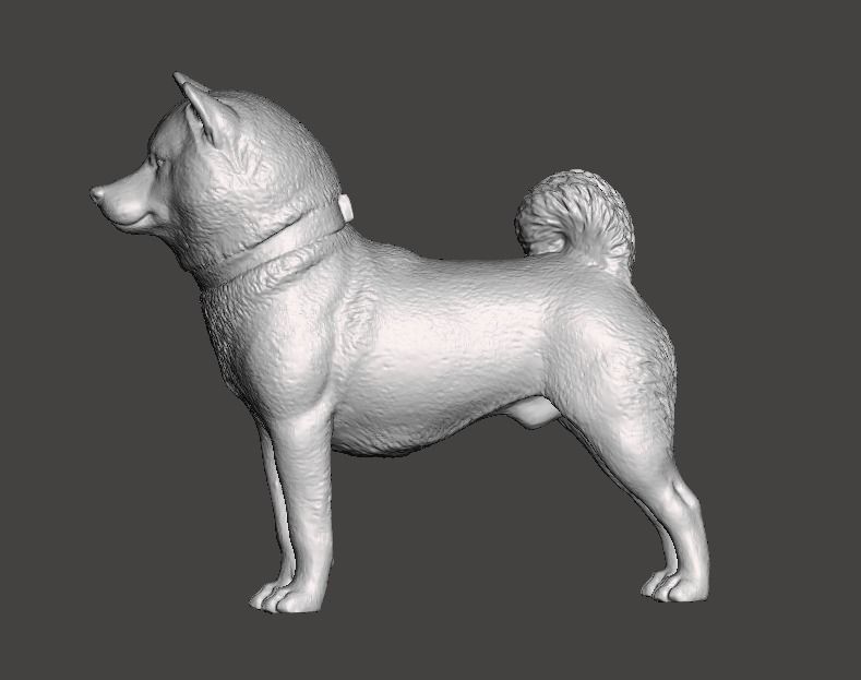 Shiba Inu Dog 3D print model_2