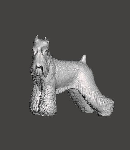 Schnauzer Dog 3D print model