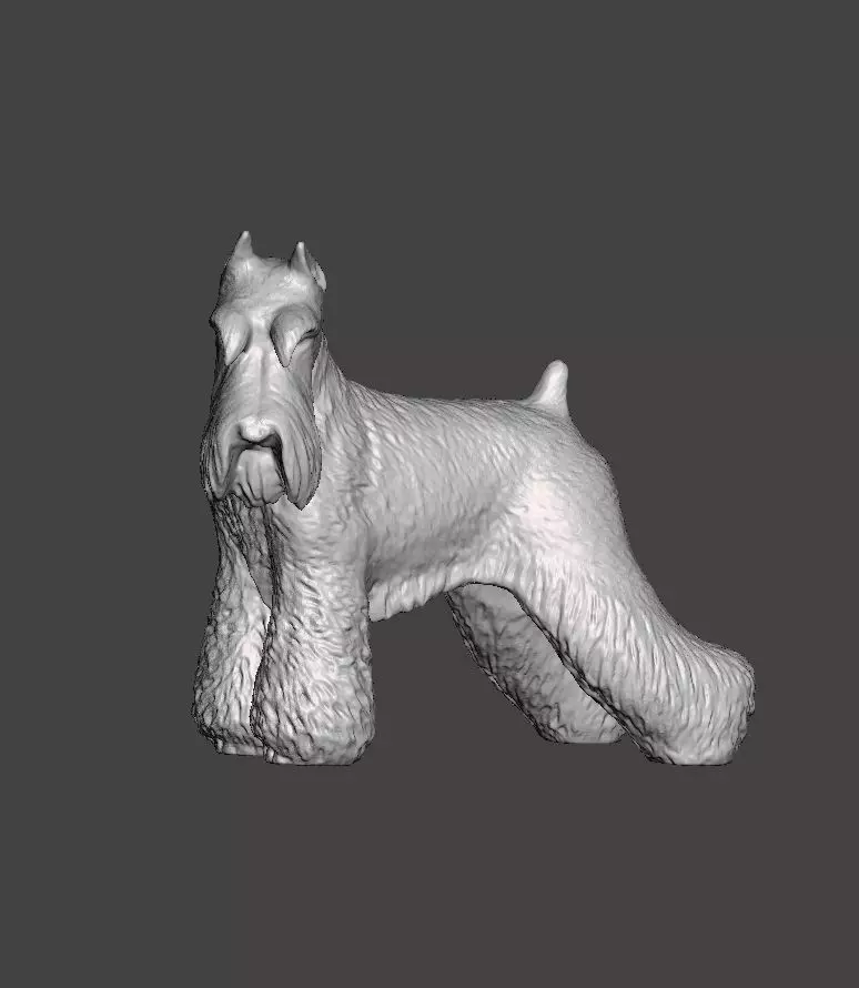 Schnauzer Dog 3D print model