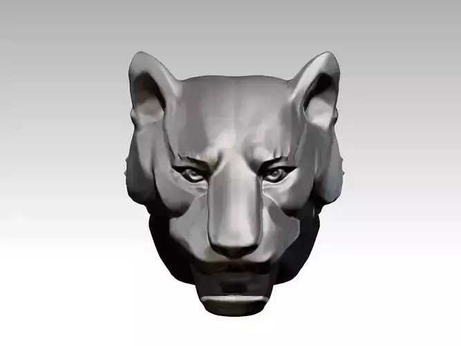 A Tiger Puma Cat Head