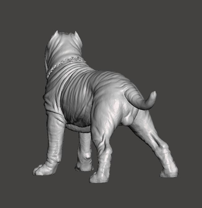 Neapolitan Mastiff Dog - Mastino 3D print model_3