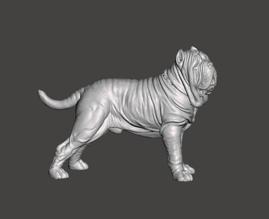 Neapolitan Mastiff Dog - Mastino 3D print model_1