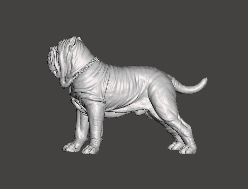 Neapolitan Mastiff Dog - Mastino 3D print model_4