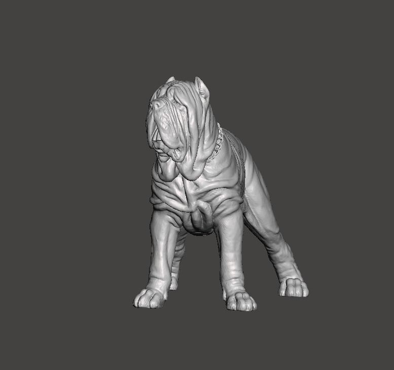 Neapolitan Mastiff Dog - Mastino 3D print model_5