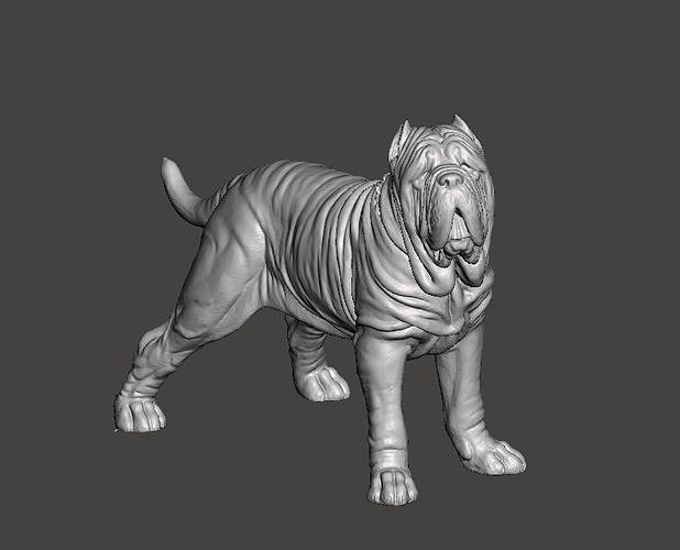 Neapolitan Mastiff Dog - Mastino 3D print model