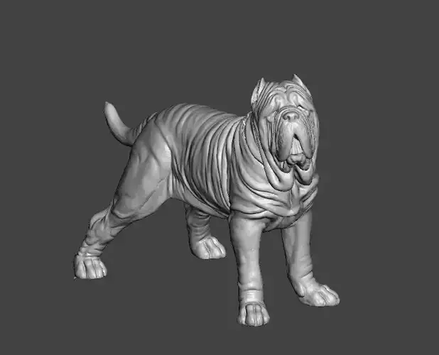 Neapolitan Mastiff Dog - Mastino 3D print model