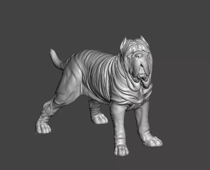 Neapolitan Mastiff Dog - Mastino 3D print model_0