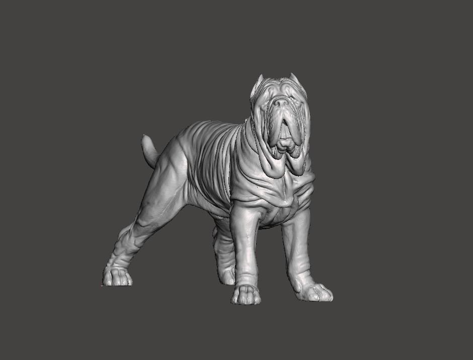 Neapolitan Mastiff Dog - Mastino 3D print model_6