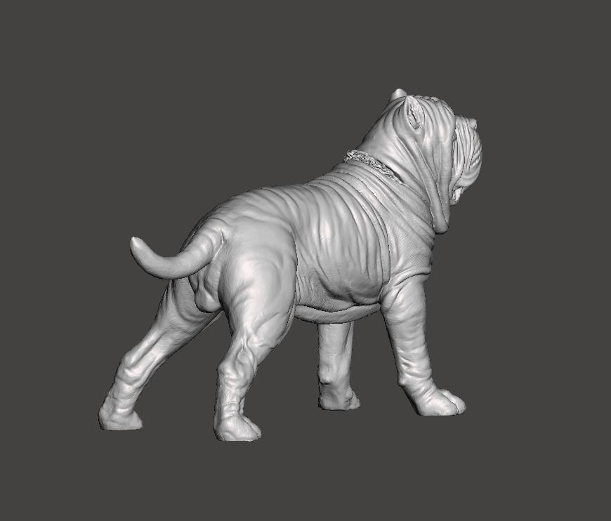 Neapolitan Mastiff Dog - Mastino 3D print model_2