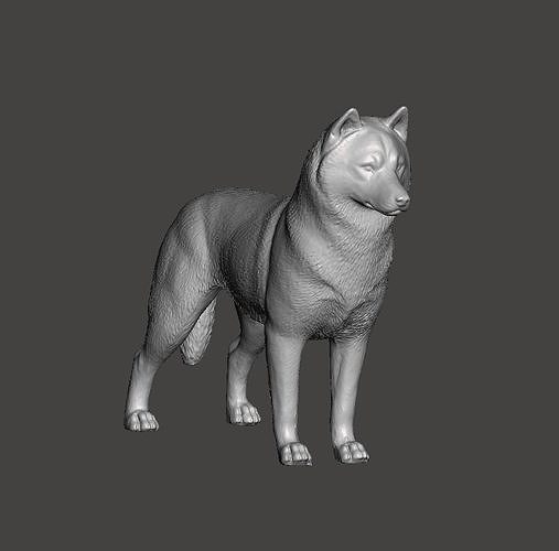 Siberian Husky Dog 3D print model